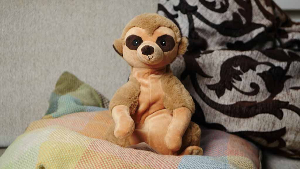 A soft brown monkey plush toy sitting upright on a couch, with round dark eyes and a light beige belly, surrounded by patterned cushions.