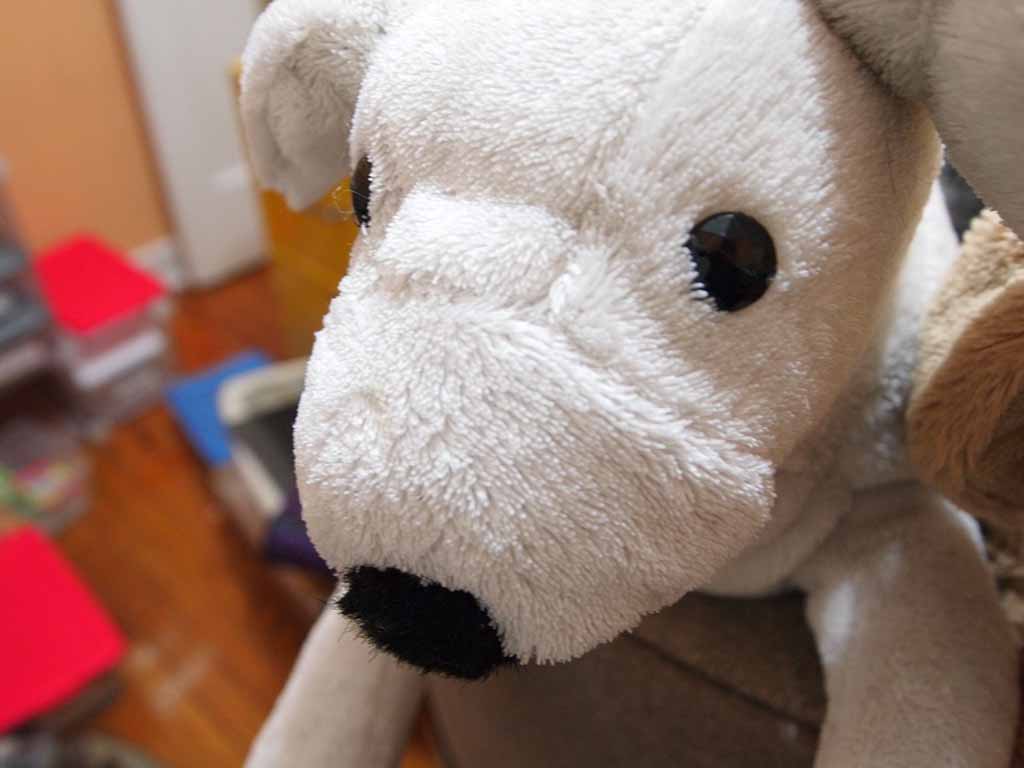 A close-up view of a white plush dog toy with black button eyes and a black nose, shown indoors with a soft, fuzzy texture.