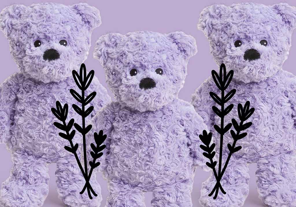 Three lavender-colored plush teddy bears with textured fur, displayed with illustrated lavender sprigs on a light purple background.