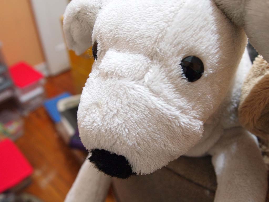 Close-up view of a white plush dog toy with black button eyes and a soft fabric nose, photographed indoors with blurred background.