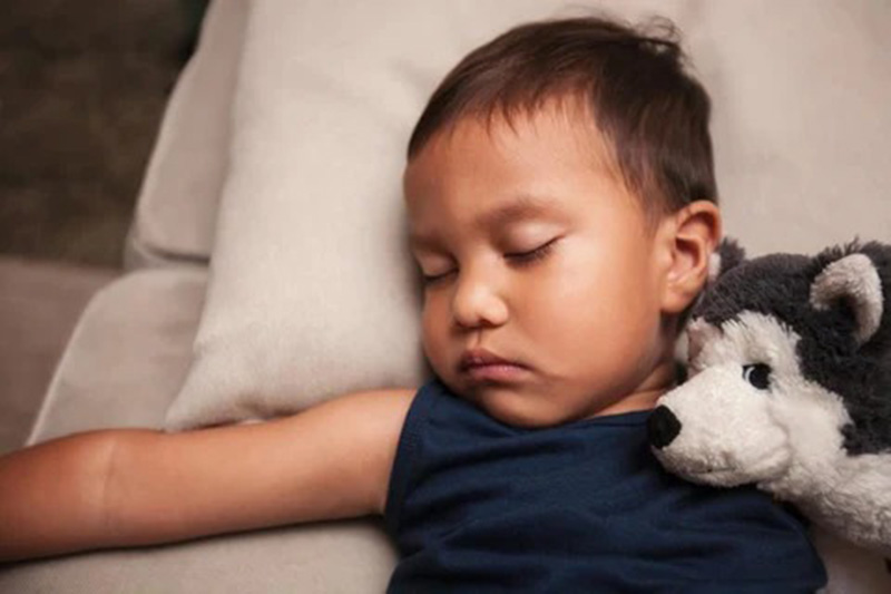 A toddler sleeps peacefully on a couch with a stuffed husky toy resting beside their shoulder.