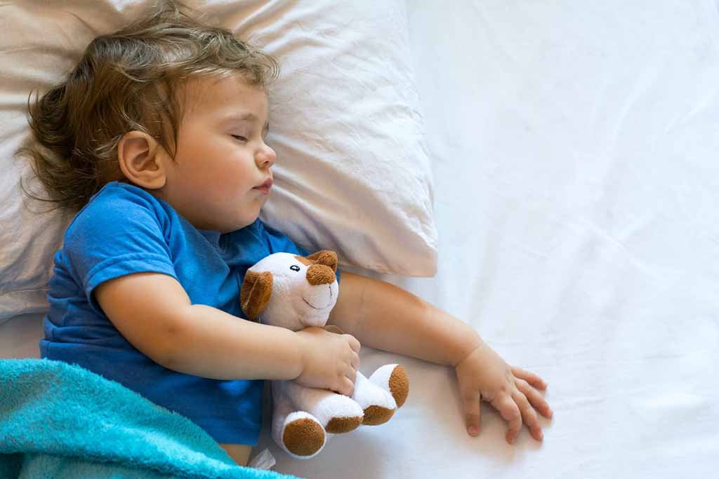 A baby sleeping peacefully on a white bed while holding a small brown-and-white plush dog, with a blue blanket partially covering them.