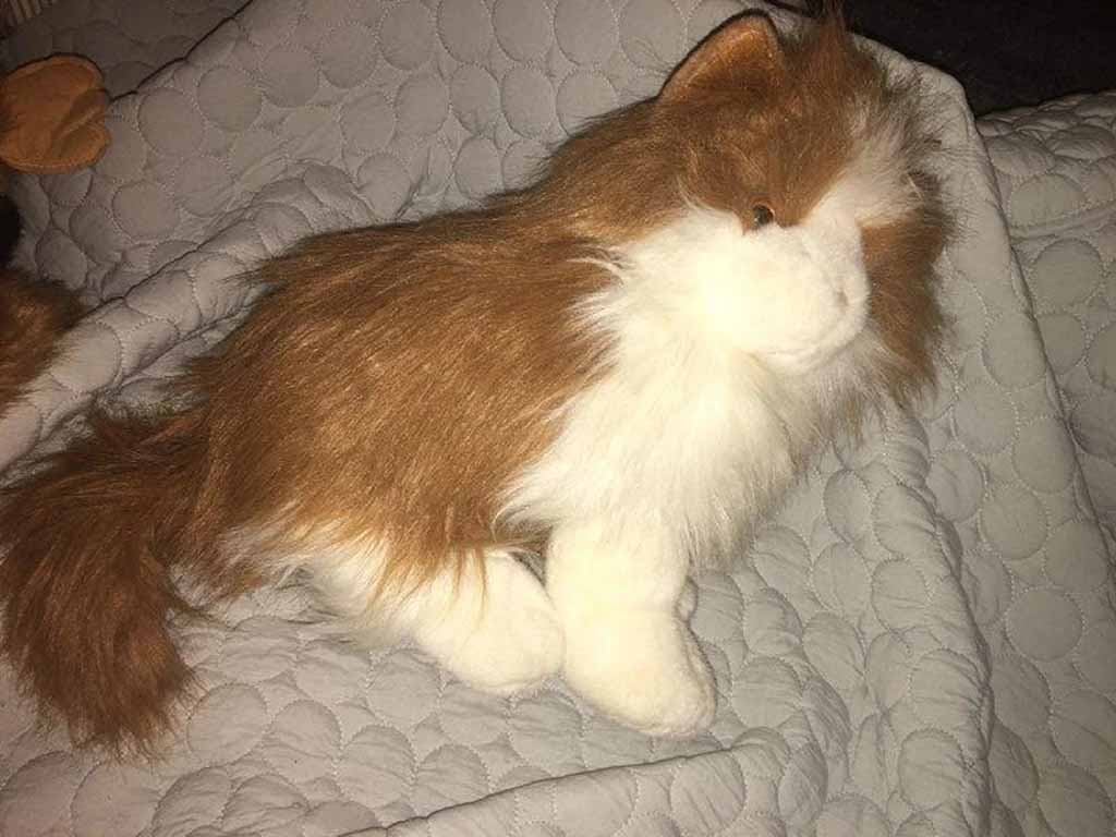 Realistic long-haired cat plush toy with brown and white fur, lying on a quilted grey blanket in soft indoor lighting.
