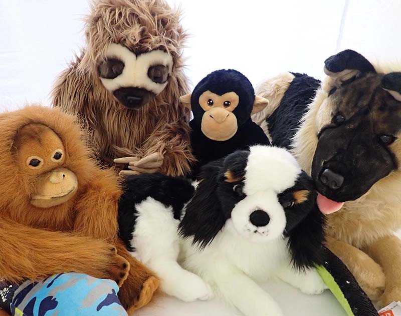 Group of plush stuffed animals including a sloth, monkey, orangutan, dog, and horse arranged together on a white background
