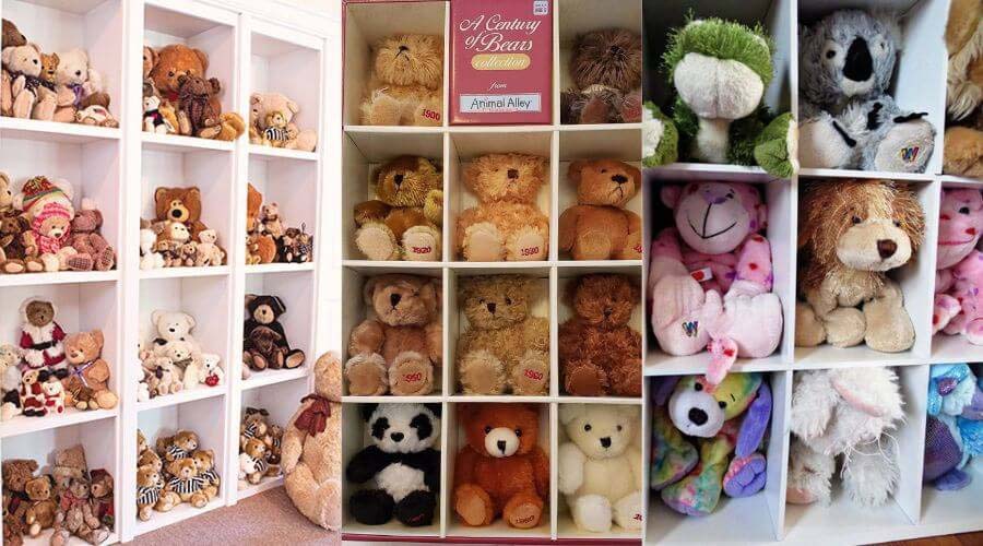 Shelves neatly filled with teddy bears and assorted stuffed animals in a collection display