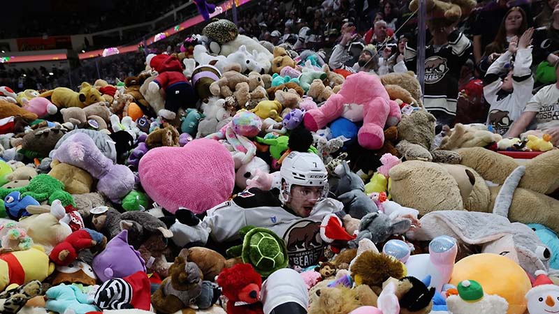 Hockey player surrounded by crowd of tossed stuffed animals
