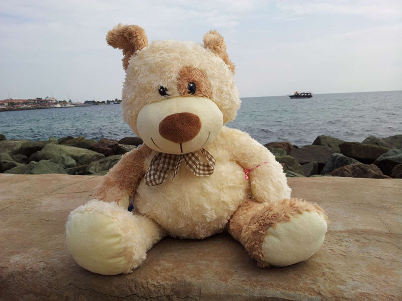 Teddy bear plush toy sitting outdoors by the seaside on stone surface