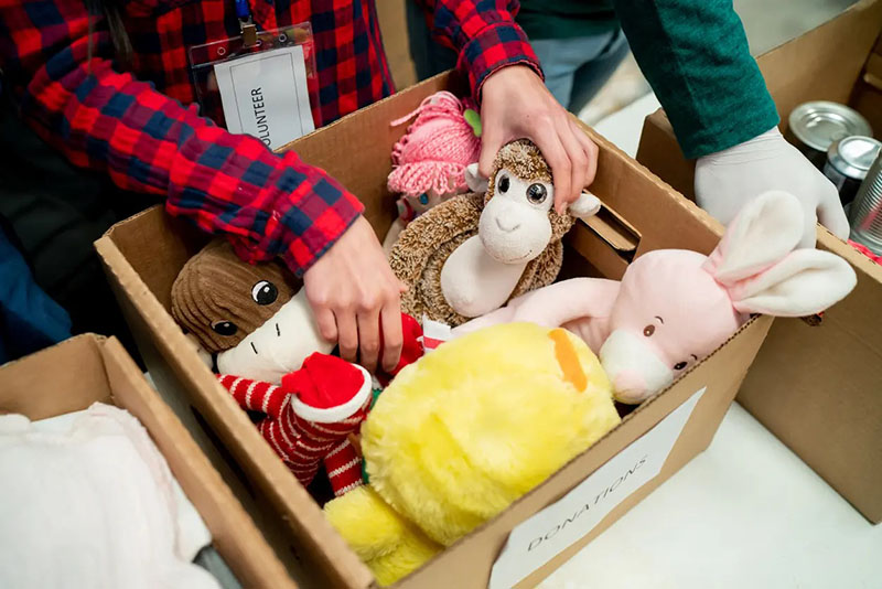 Volunteers placing donated stuffed animals into a cardboard donation box