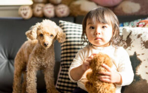 Toddler holding a teddy bear plush on a couch with a small poodle standing beside them indoors.