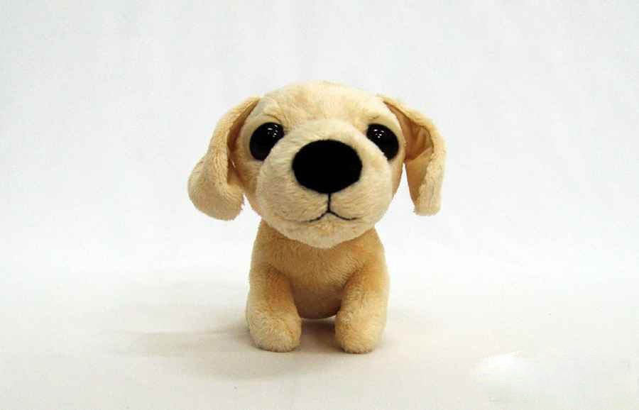 Small beige puppy plush with big black eyes sitting on a plain white background.