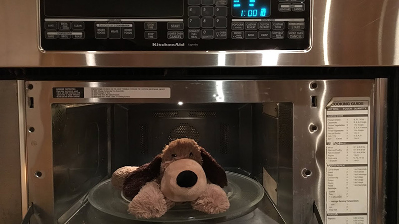 Stuffed dog plush toy placed inside a microwave oven on a glass turntable