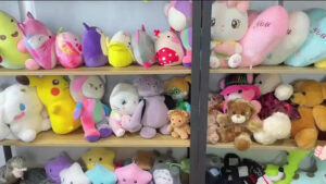 A shelf filled with colorful plush toys and character cushions, showcasing a variety of cute designs commonly found in toy shops or collector displays.