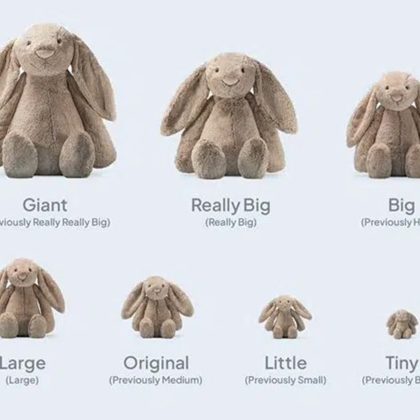 Size & Proportion Customization