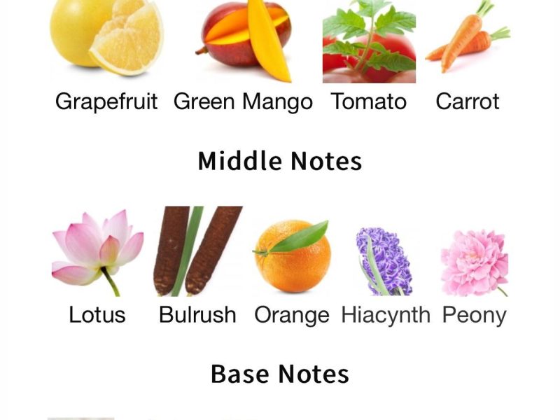 Fragrance Collection