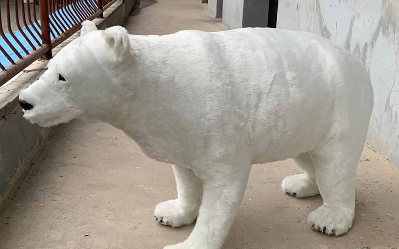 Realistic Thai polar bear