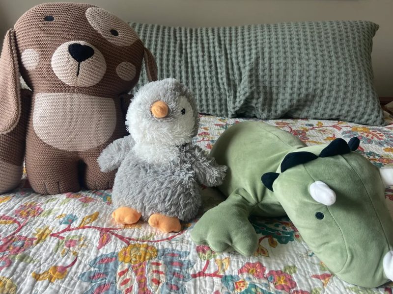 Weighted Stuffed Animals