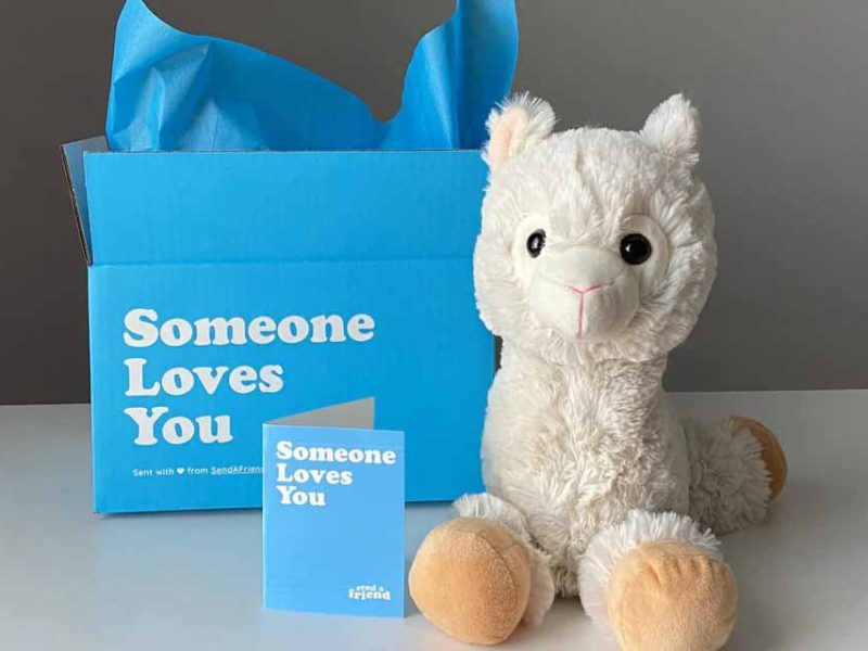 A soft white llama plush toy with fluffy textured fabric and rounded hooves, presented beside a blue gift box reading “Someone Loves You,” making it ideal as a comforting stuffed animal gift for adults, children, or special occasions.