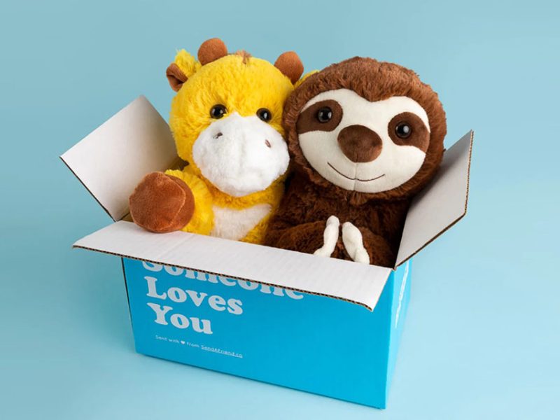 Two plush toys—a yellow giraffe and a brown sloth—sitting together inside a blue cardboard gift box with the words ‘Someone Loves You,’ photographed against a light blue background.