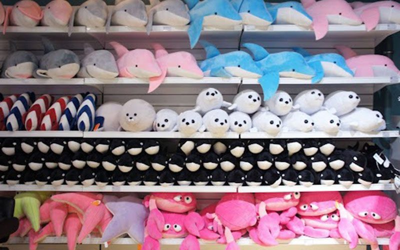 Shelves filled with colorful plush toys including dolphins, seals, and sea animals, neatly arranged in a retail display.