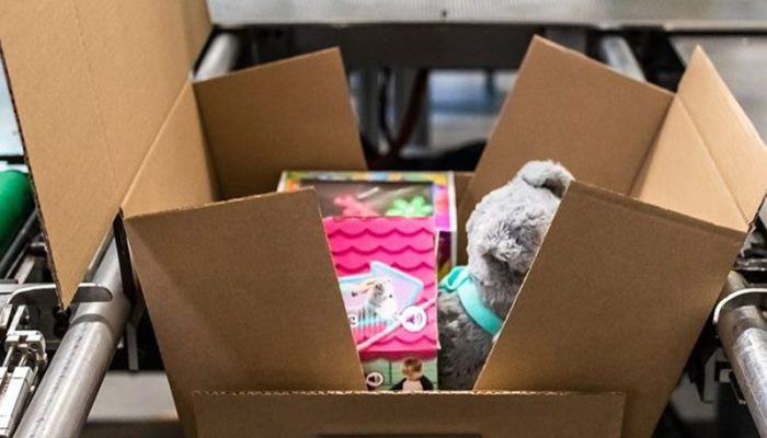 Packaging and Shipment