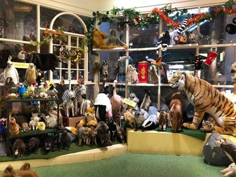 Large assortment of realistic animal plush toys—including birds, zebras, foxes, badgers, and a tiger—arranged in a decorated indoor showcase.